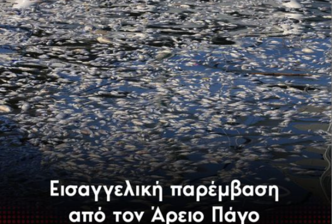 Εισαγγελική παρέμβαση από τον Άρειο Πάγο για τα νεκρά ψάρια στον Βόλο
